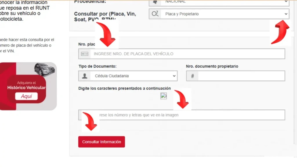Runt Por Placa